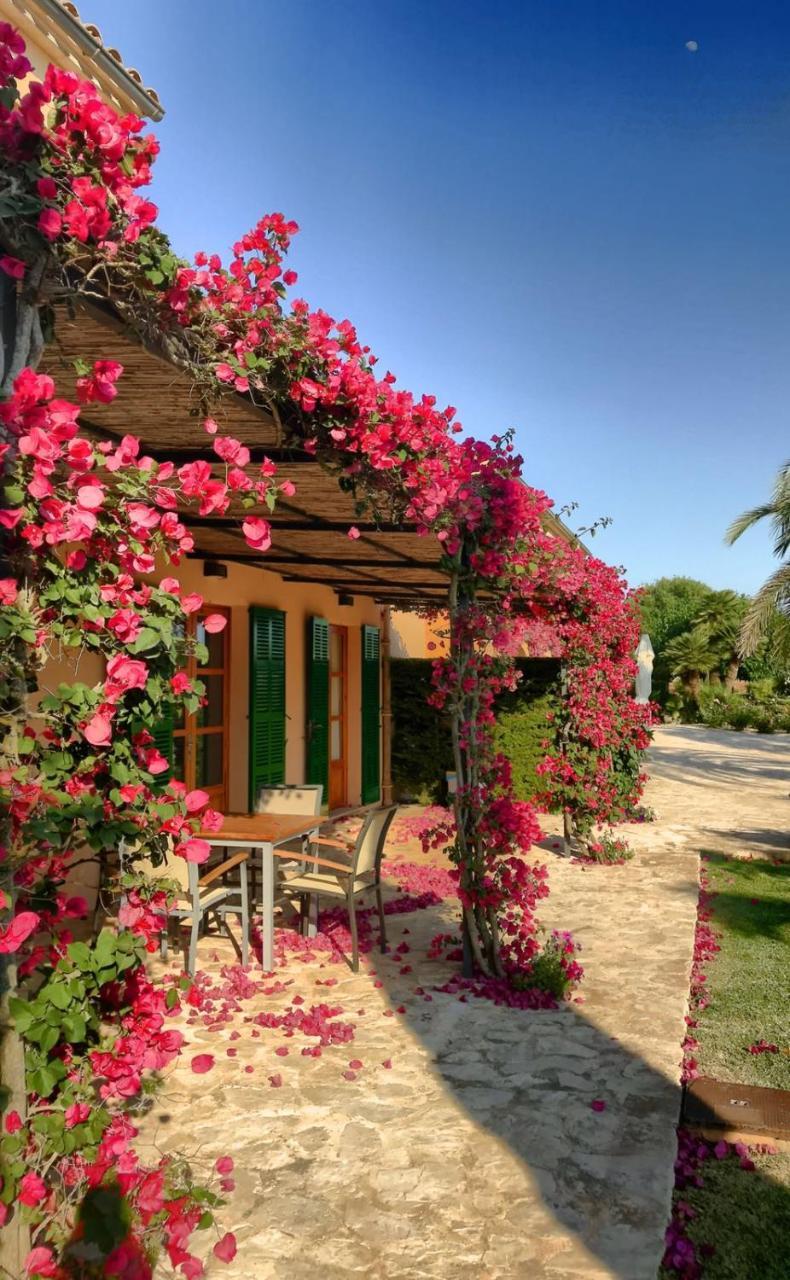 Son Capellot Villa Felanitx Ngoại thất bức ảnh