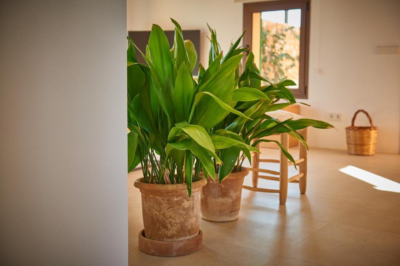 Son Capellot Villa Felanitx Ngoại thất bức ảnh